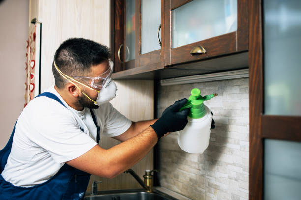 Best Affordable Pest Control Services  in Hunters Creek Village, TX
