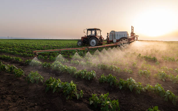 Reliable Hunters Creek Village, TX Pest Control Solutions