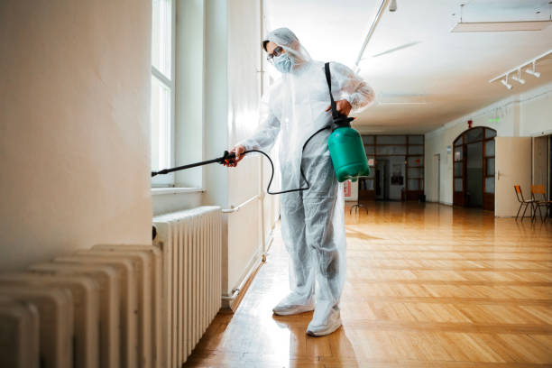 Flea Control Services in Hunters Creek Village, TX